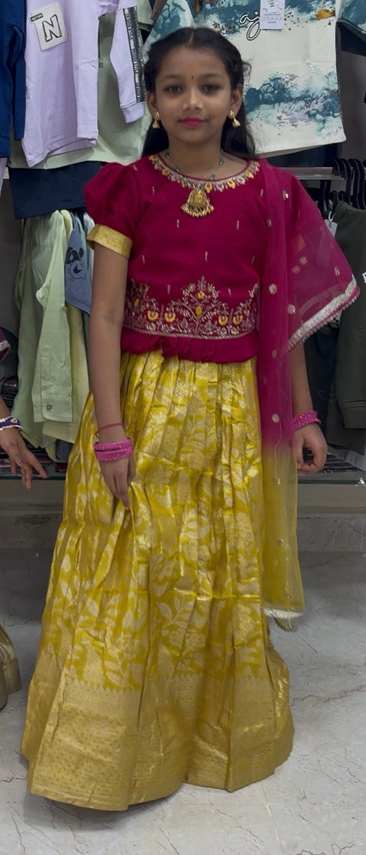 Pattu Crop top with Embroidery Top