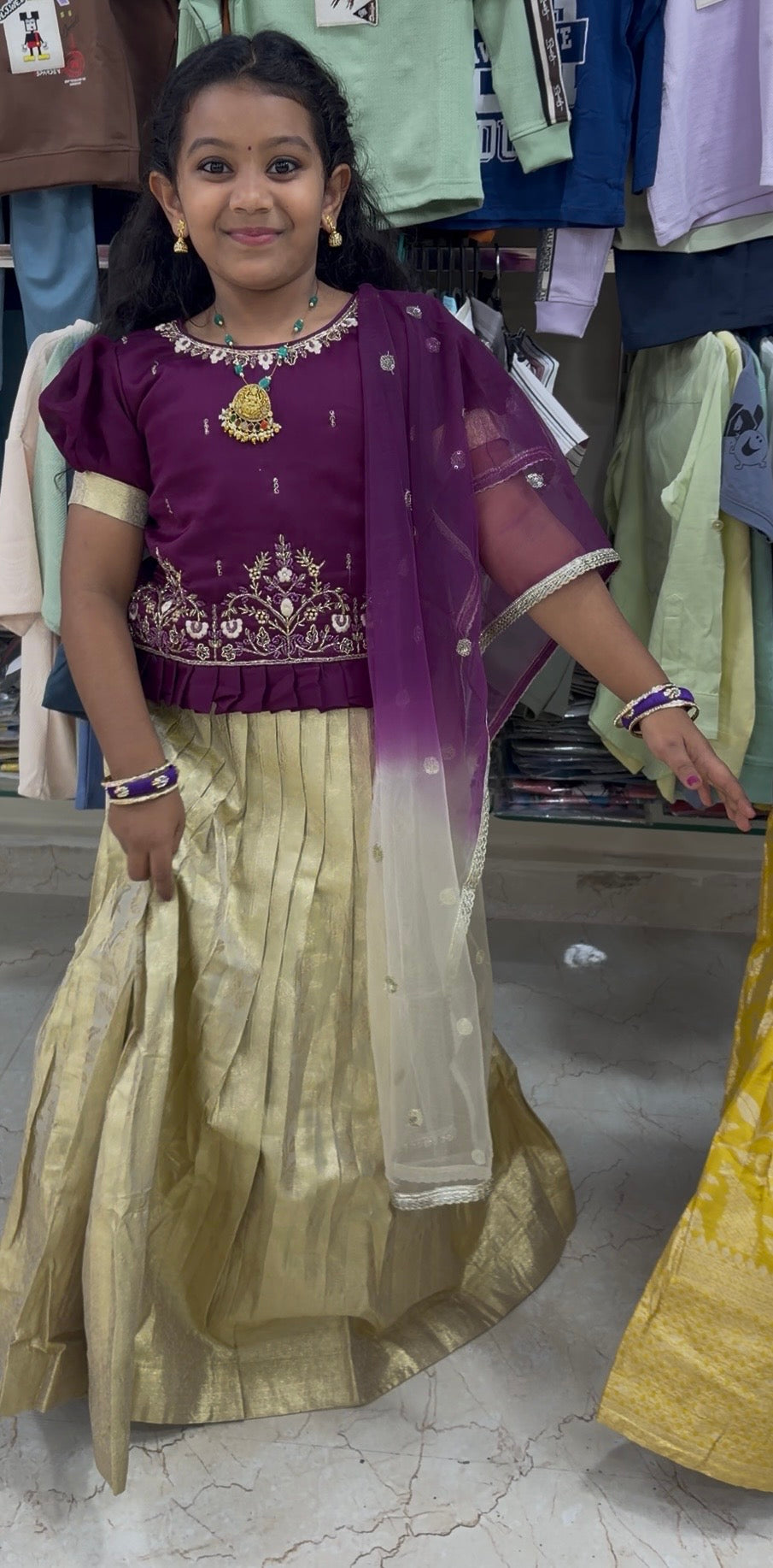 Pattu Crop top with Embroidery Top