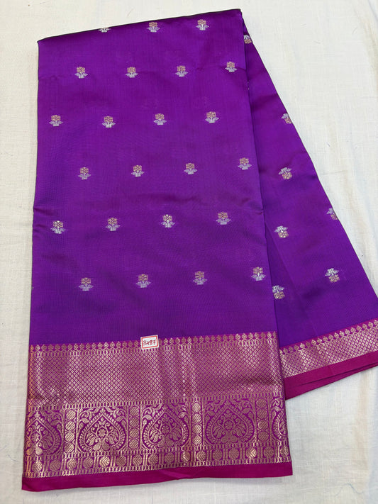 Kashika Pattu