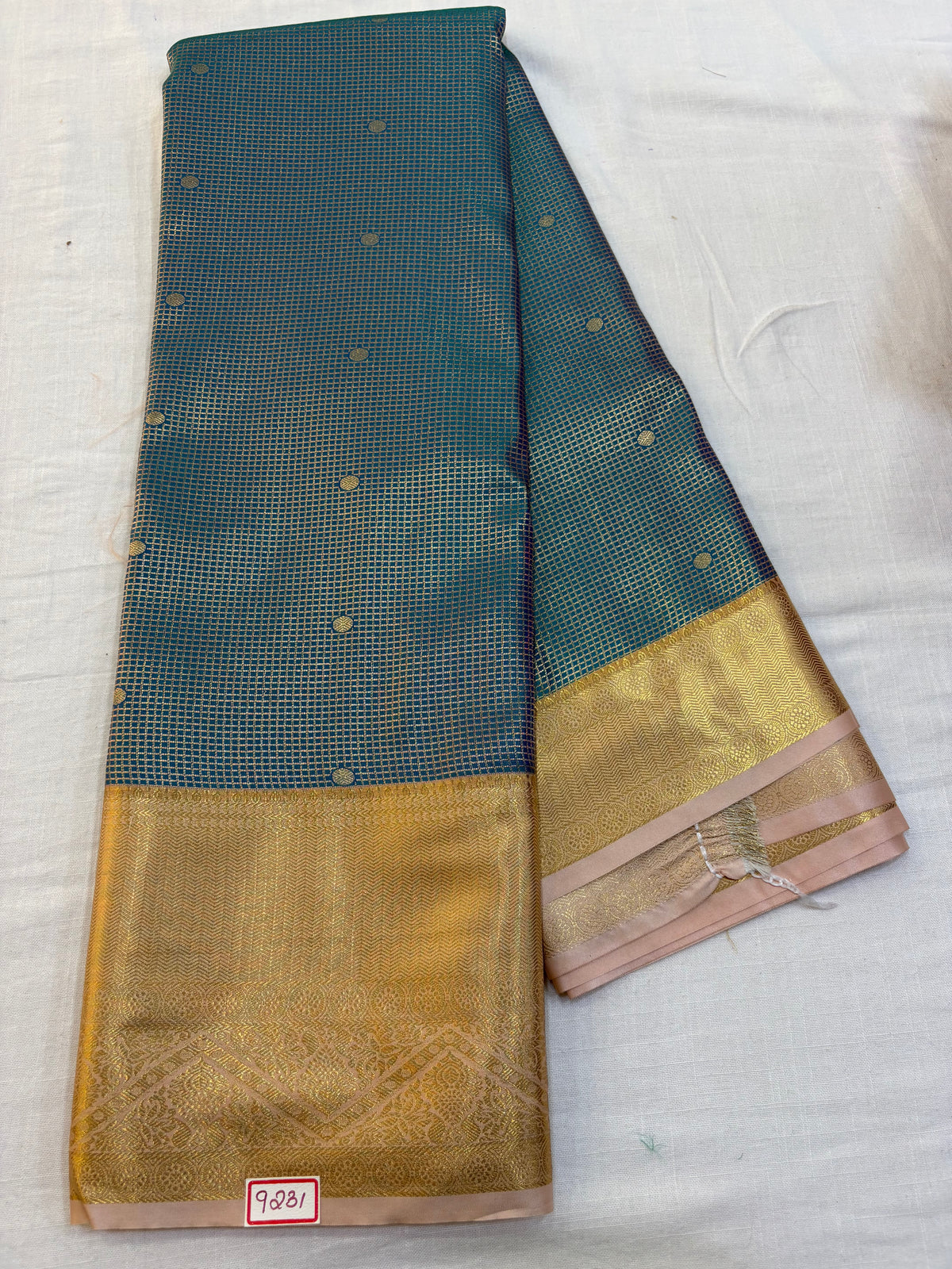 Semi Kanchi Pattu Saree - Pencil Work